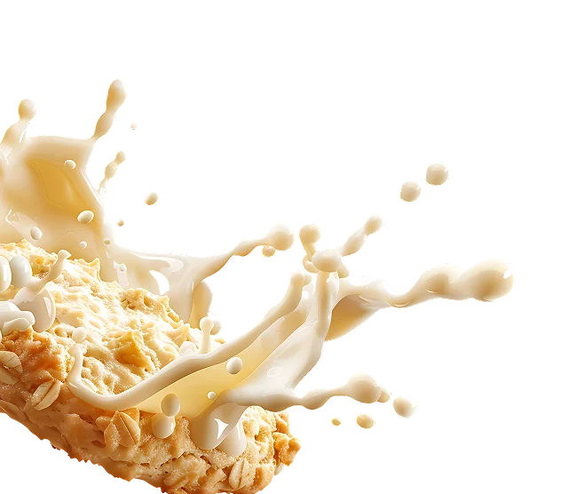 Vegan Lean Protein