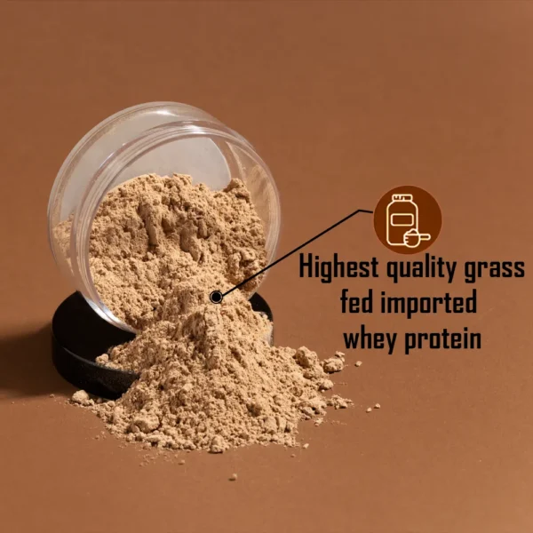 D-Facto | Whey Protein Powder With Probiotics - Image 2