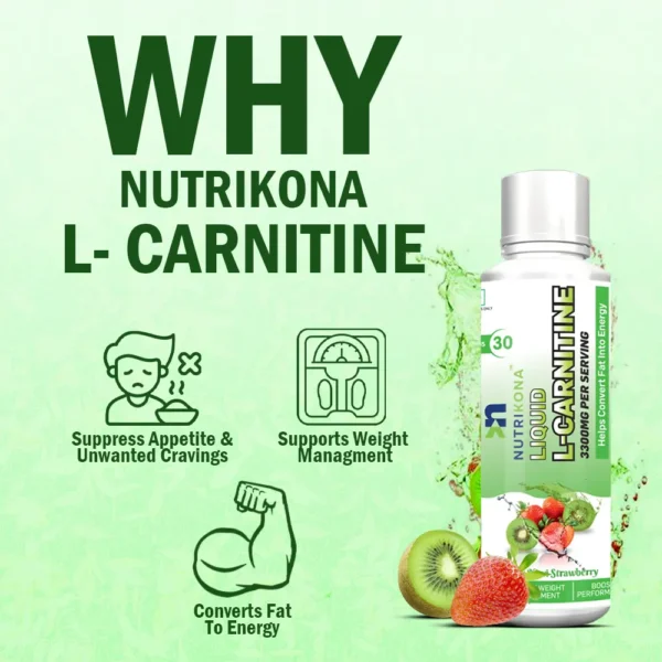 L-Carnitine - Image 3