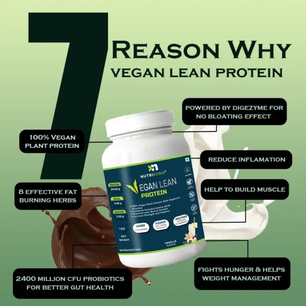 Vegan Lean Protein - Image 8