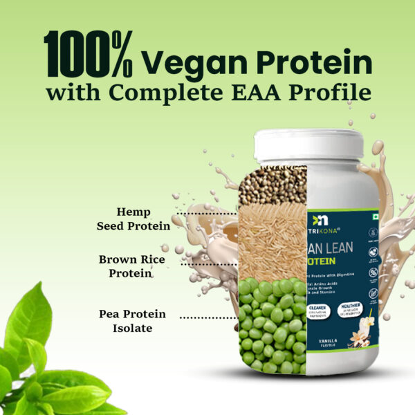Vegan Lean Protein - Image 4