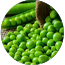 Ingredient Image
