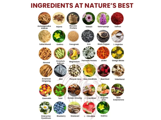Key Ingredients in Our Testosterone Booster
