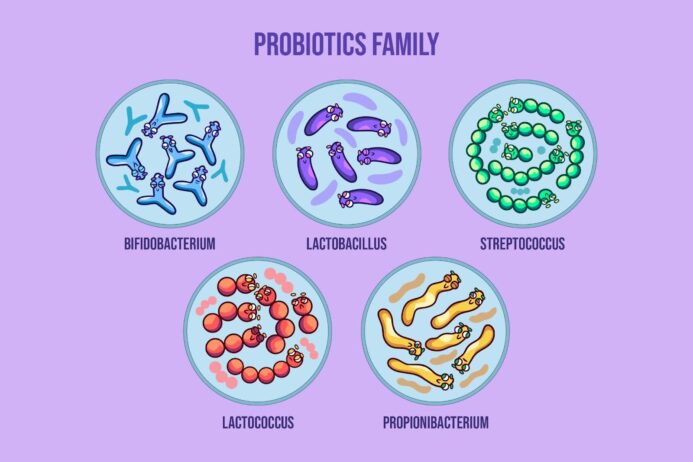 what are probiotics