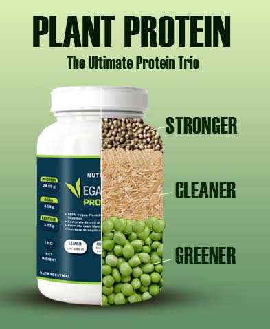 Vegan Alternatives to Whey Protein
