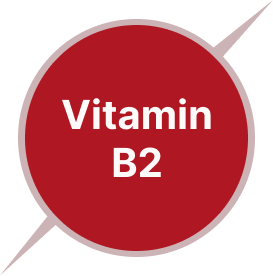 Vitamin B2