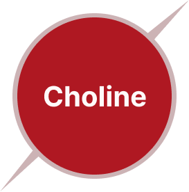 Choline