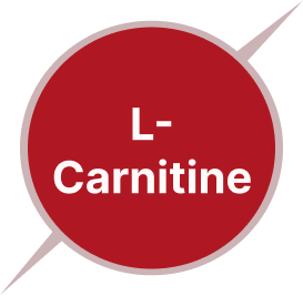L-Carnitine