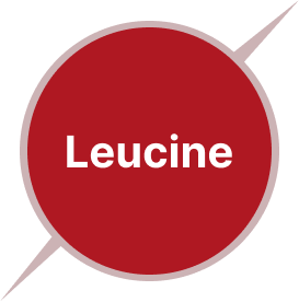 Leucine