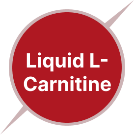 Liquid L-Carnitine