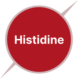Histidine