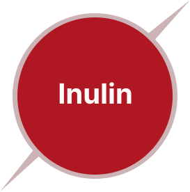 Inuline