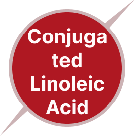 Conjugated Linoleic Acid