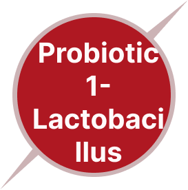 Lactobacillus Acidophilus