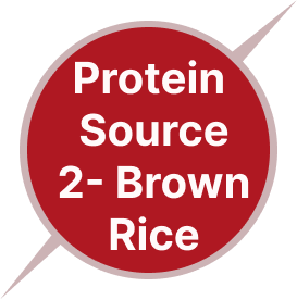 Protein source 2- Brown Rice