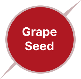 Grape Seed