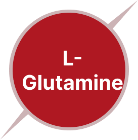 L-Glutamine