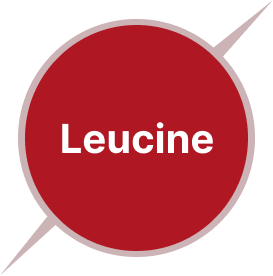 Leucine
