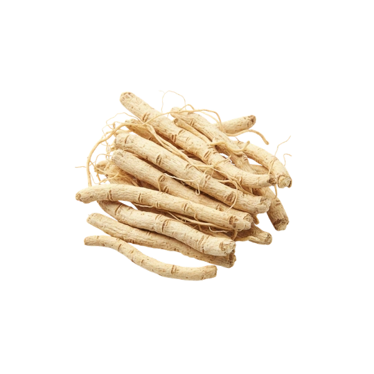 Safed Musli