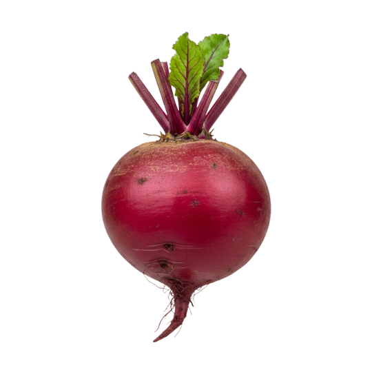 Beet Root