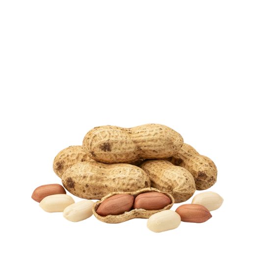 L-Arginine