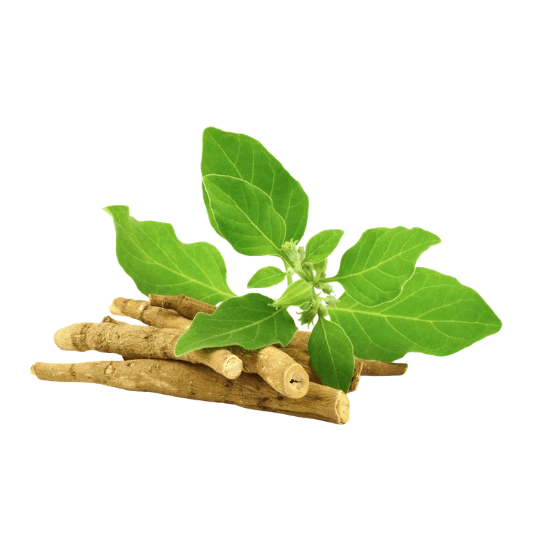 Ashwangandha
