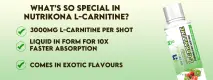web banner L-Carnitine 2
