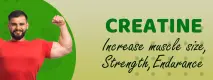 web banner copy 3