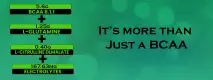web banner 2