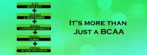web banner 3